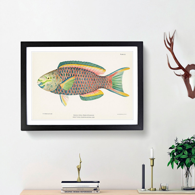 Tropical Fish by Henry Baldwin - Framed Print, 27cm H x 36cm W x 2cm D, Black Framed