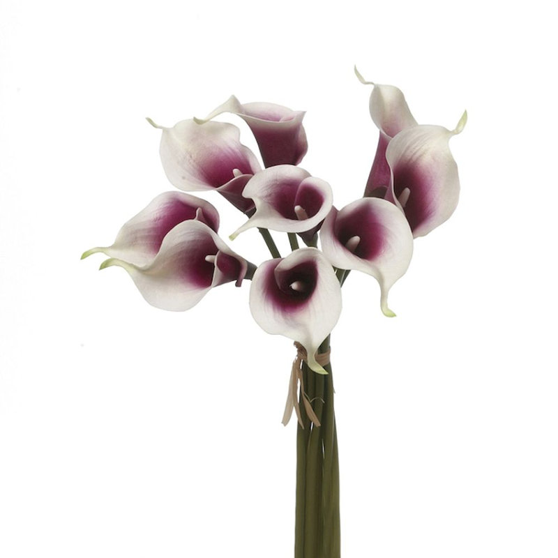 Douille lilies Calla, Mauve