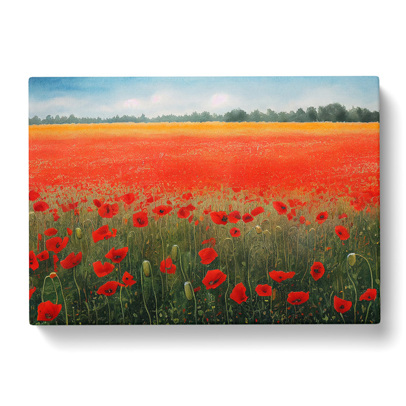 Watercolour Poppy Field Vol.7 - Wrapped Canvas Print, 40cm H x 60cm W x 3cm D