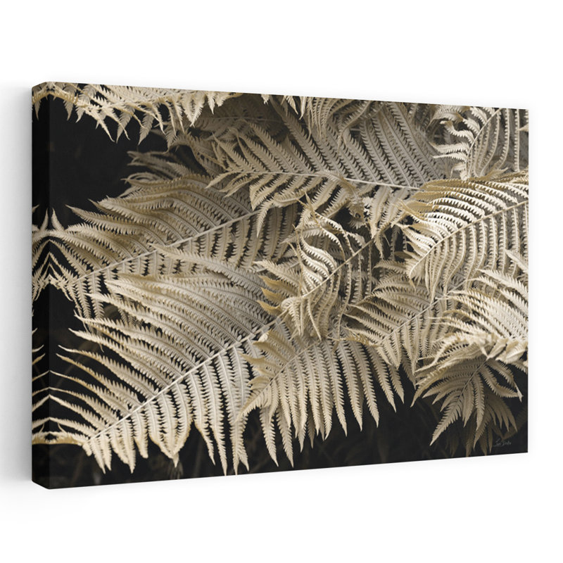Golden Ferns II - palmier tropical contemporain, art tropical de contraste, plante tropicale, H 16 po x l 24 po