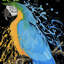 Toile de perroquet ara bleu - oiseau de chambre