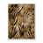 White Floater Frame Canvas