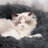 Donut Dog Bed, Soft Warm Cozy Plush Round Fluffy Donut Cuddler Pet Bed for Dog Cat, Machine Washable-1328005400-1328005404