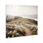 Blooming Path Print by Oliver Gal-1550810672-1550810678