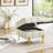 Ottoman, 22 Inch Beige Anti-Scratch Leather Storage Bench, Pet-Friendly Entryway Seat with Stainless Steel Legs | Metal-813184471