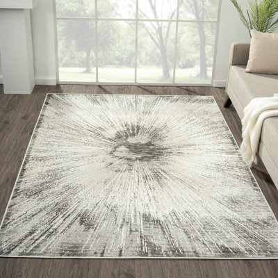 Jisha Abstract Indoor Rug