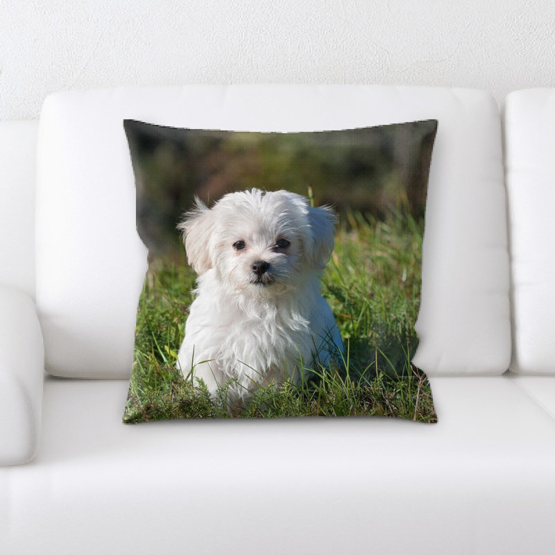 Coussin pour chien