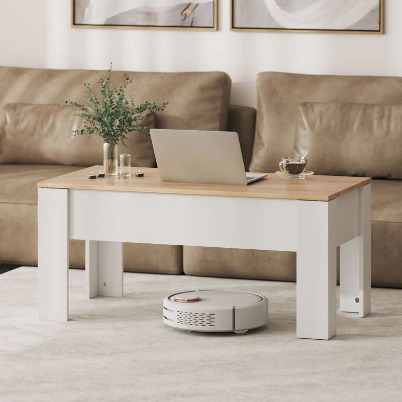 Floyed Lift Top Coffee Table with Storage
