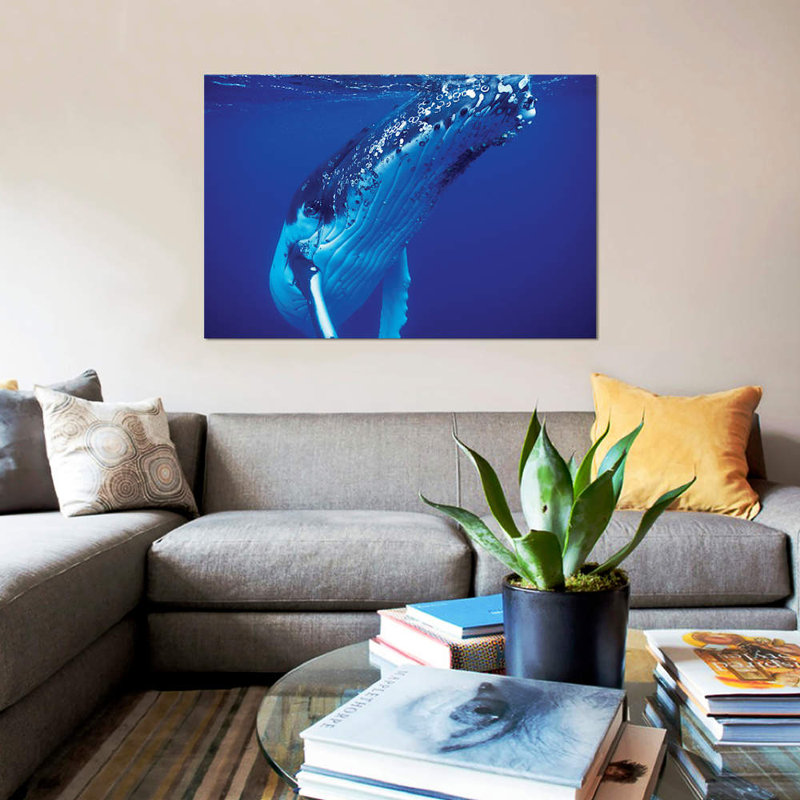 « baleine baleine, tonga îles, south pacific », reproduction de photo sur toile, H 18 po x l 26 po x P 1,5 po, Toile tendue