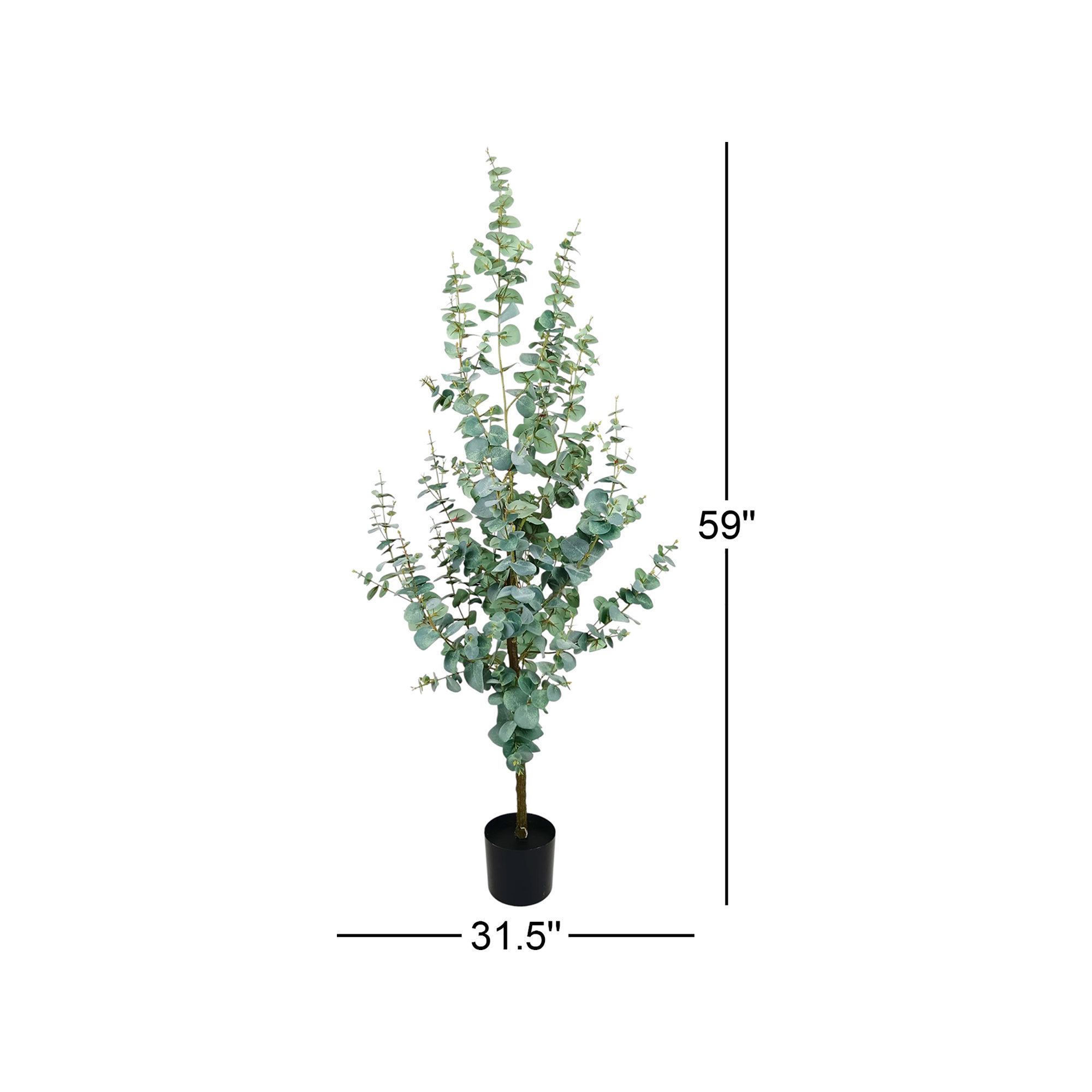 59'' Plant
