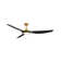 Hinkley Talon LED Ceiling Fan