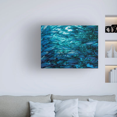 Reproduction d’art sur toile « Fast déménagement School of Jacks » par Henry Jager