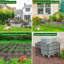 Clôture de jardin décorative No Dig 5 panneaux-113475885