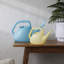 Arrosoir translucide intérieur / extérieur en plastique 1 gallon