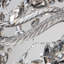 Ames Crystal Chandelier-991636536