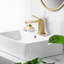 Robinet de lavabo de salle de bain monocorps à poignée simple avec ensemble de drain optionnel-69577965-116319099