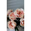 Pivoine rose pâle Real Touch 20,5 po-736409054