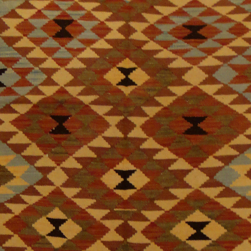 Azpeitia Wool Southwestern Indoor Rug