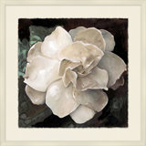 White Bloom 3 Print