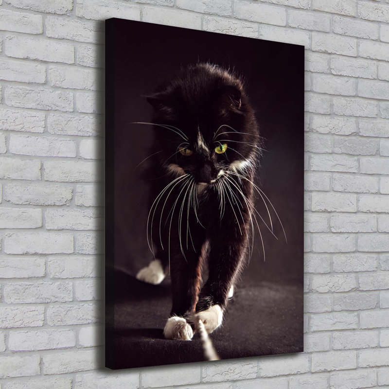 Black cat 1 Piece Wrapped Canvas Wall Art