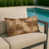 Coconut Palm
