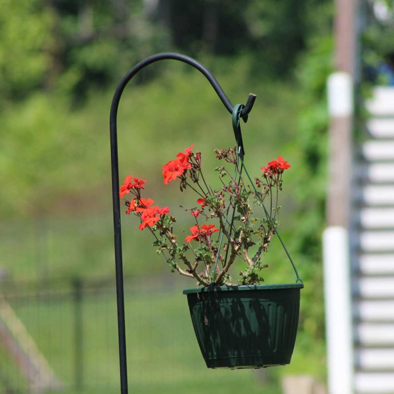 Ashman 92 Inch Black Metal Shepherd's Hook Garden Hangers (3 Pack)