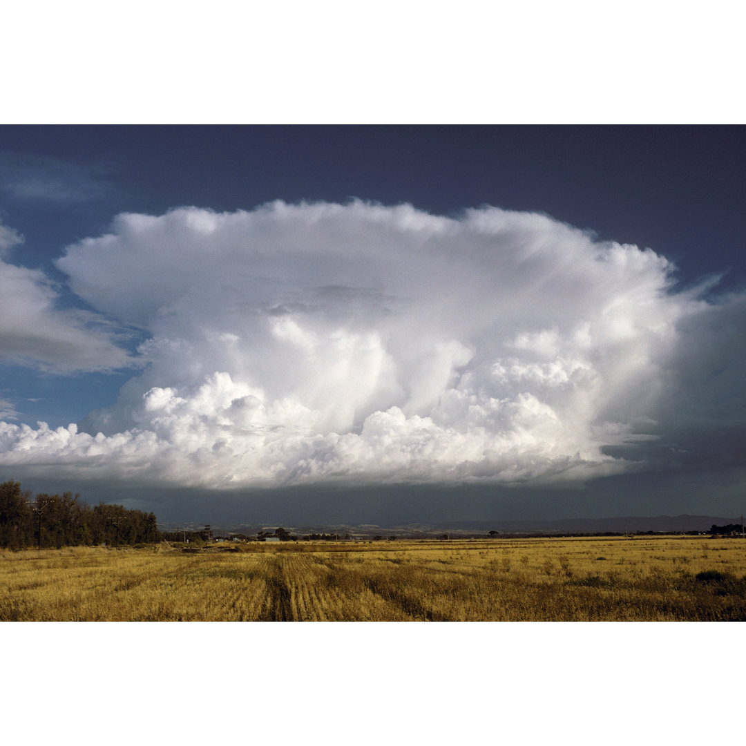 Ambossförmiges Gewitter von BeyondImages - Wrapped Canvas Set