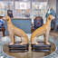 Pair Whippet Figurine