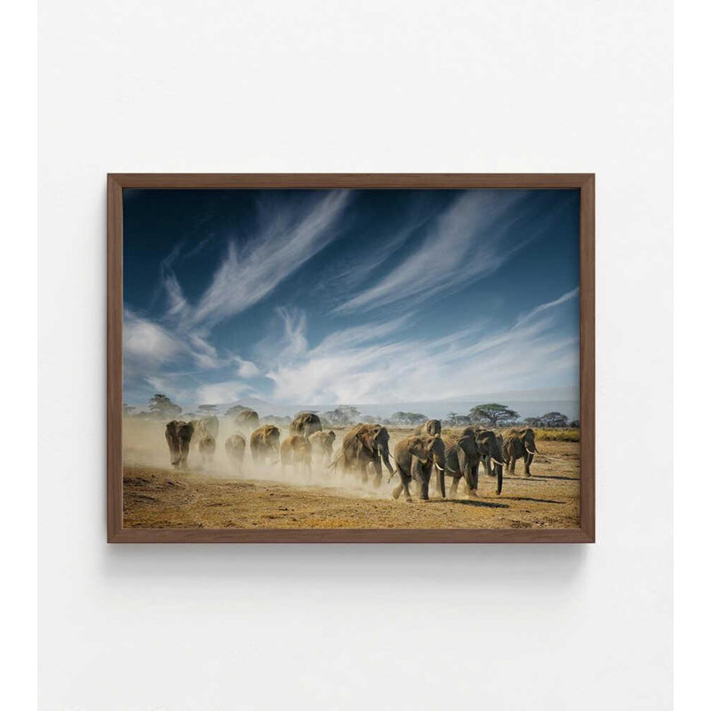 «Elephant Herd on the Plains», reproduction de photo animalière encadrée, H 18 po x l 24 po, Brun, Ne s’applique pas