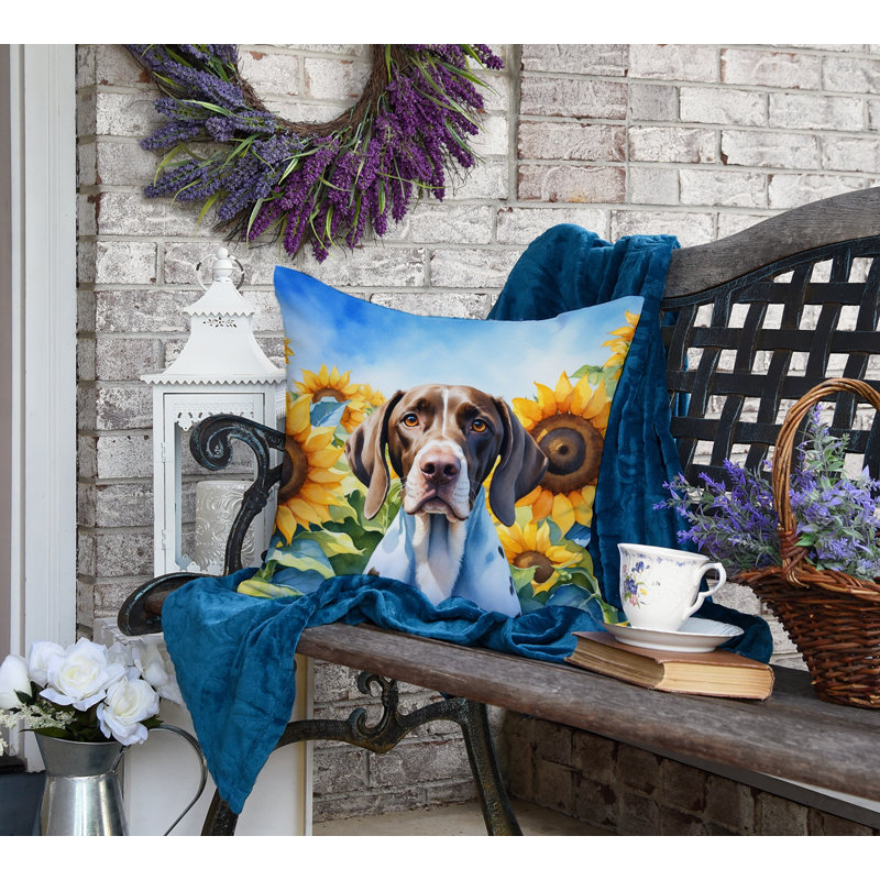 Other/No Pattern Indoor/Outdoor Throw Pillow, 18" H x 18" W
