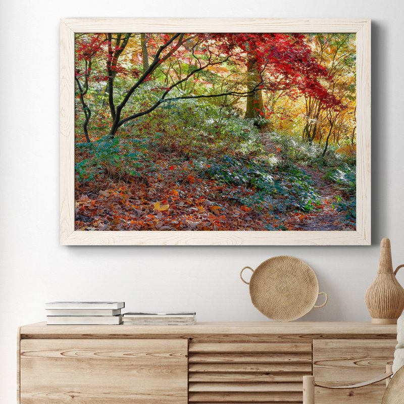 Secret Garden - Reproduction d'art graphique sur papier encadré, H 31 po x l 44 po x P 1 po, Blanc