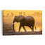 Majestic African Elephant Dramatic Serene Abstract Elephant Nature Sunrise Wall Art Print-2073946547