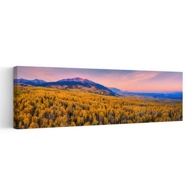 Golden Aspen Sunset Colorful Peaceful Serene Autumn Forest Wall Art