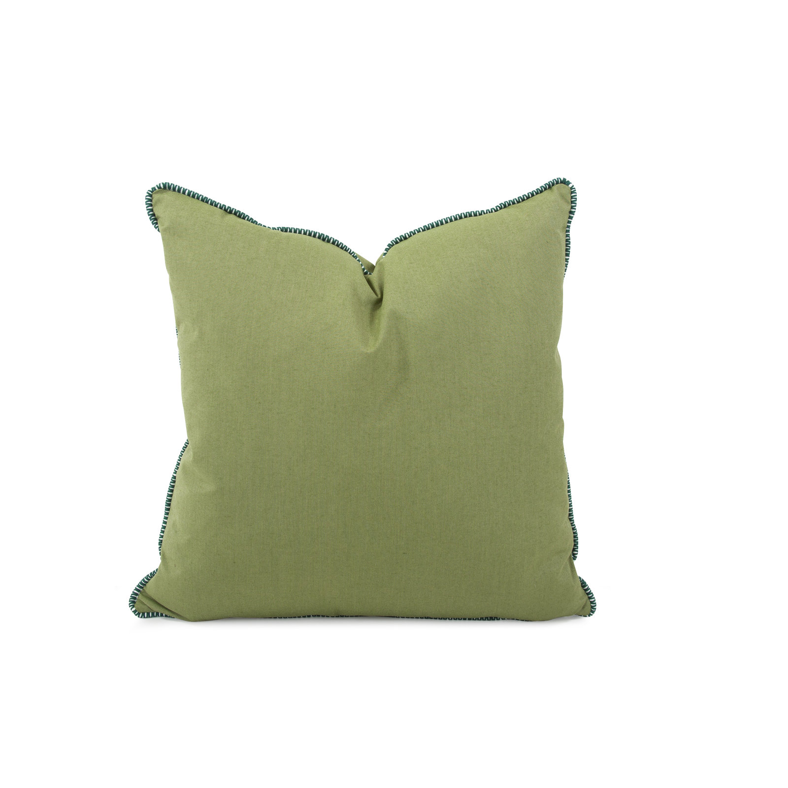 Delijah Sunbrella® Indoor/Outdoor Throw Pillow, Seascape Moss, 24" x 24"