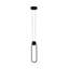 Denooyer 1 - Light Black LED Pendant