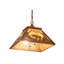 Luminaire suspendu 16 po-16183368