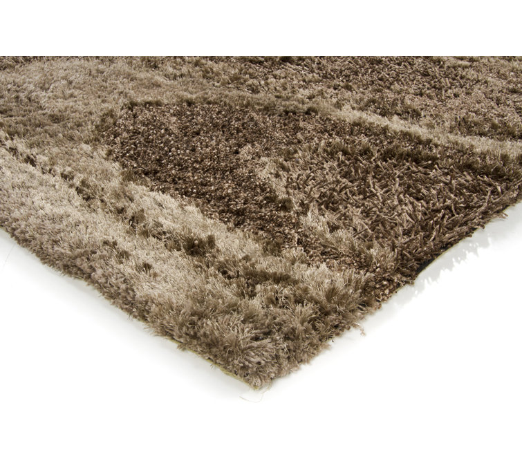 Areva Abstract Area Rug in Brown