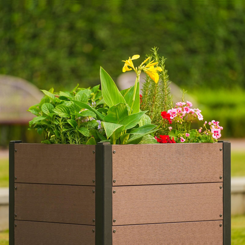 Wood Raised Garden Bed