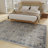 Aldoris Oriental Indoor Rug-771150295