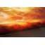 Hartshorn Abstract Area Rug-40869557