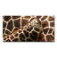 « giraffe », reproduction d’impression sur toile tendue-129723404