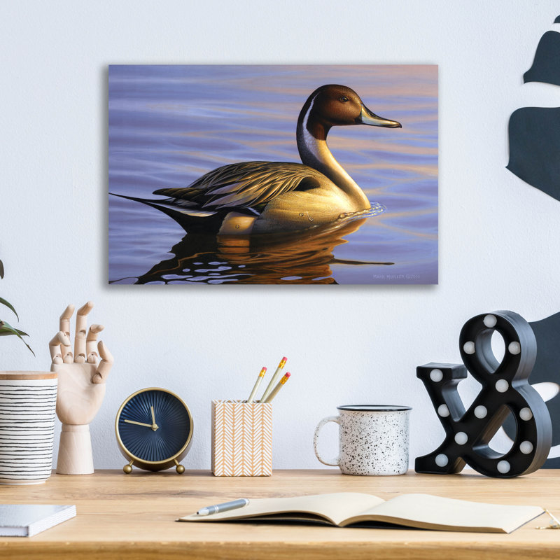 «Lone Pintail» par Mark Mueller, art animalier, H 12 po x l 16 po x P 0,13 po