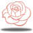 Rose sélectionné