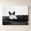 Flirt par Aledanda - Impression sur toile-1578599652-1578599659