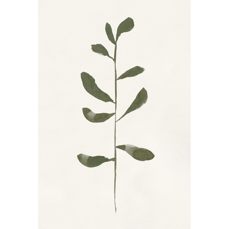 Minimal Sprig II by Victoria Barnes - Wrapped Canvas Print, 46cm H x 30cm W x 3.8cm D