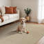 Ranota Modern Indoor/Outdoor Rug-1368036731