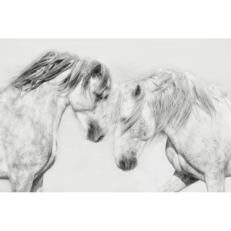 Equine Portrait I by PHBurchett - Photograph Print, 20 cm H x 30 cm W, Wrapped Canvas