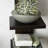 Wyaconda 5 Tier Column Wall Shelf-278760137