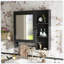 Miroir d'armoire à pharmacie mural Trayshawn-341900074