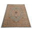 Oriental Area Rug-1637760321